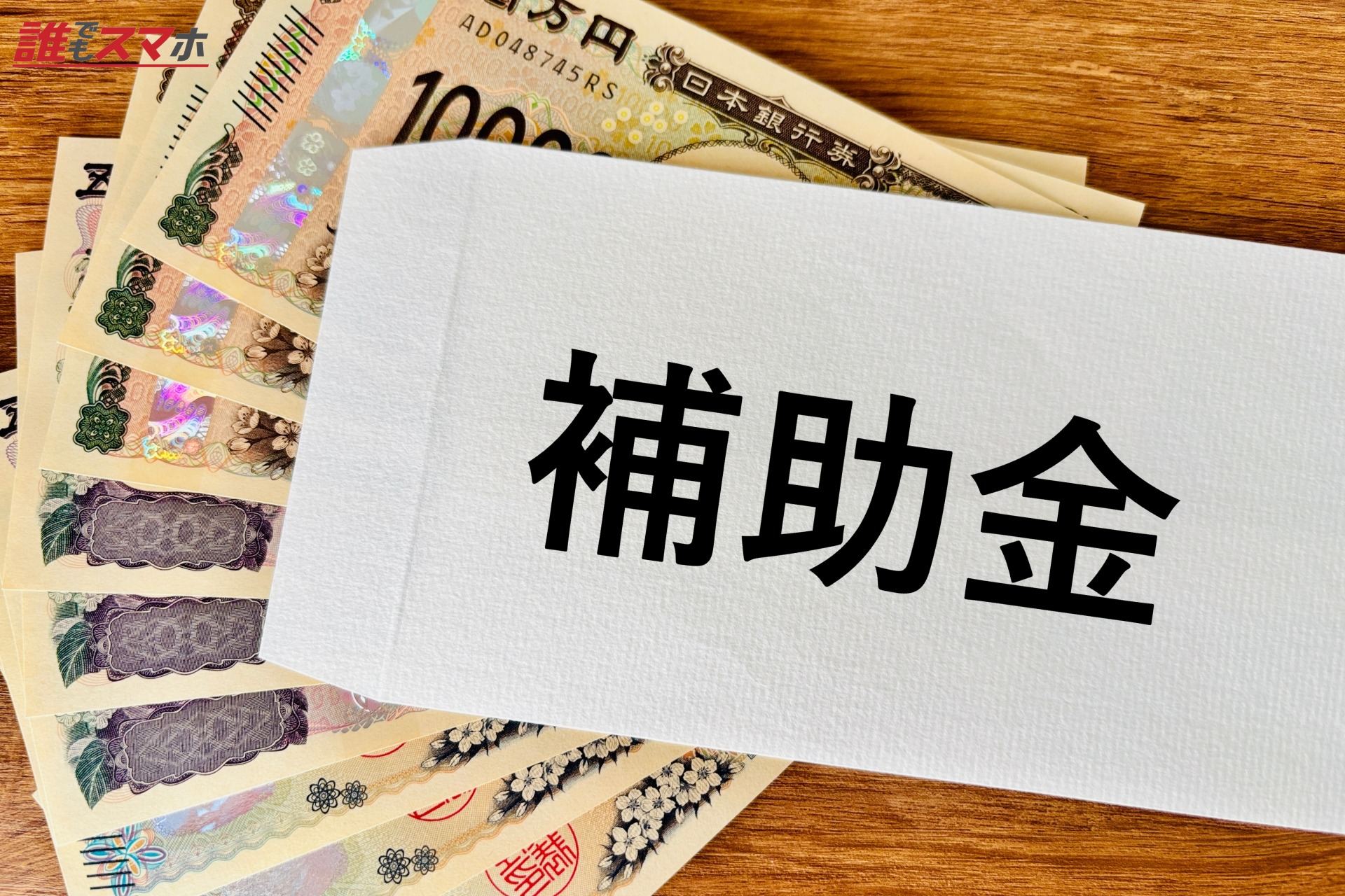 <h3>公的融資制度を利用する</h3>