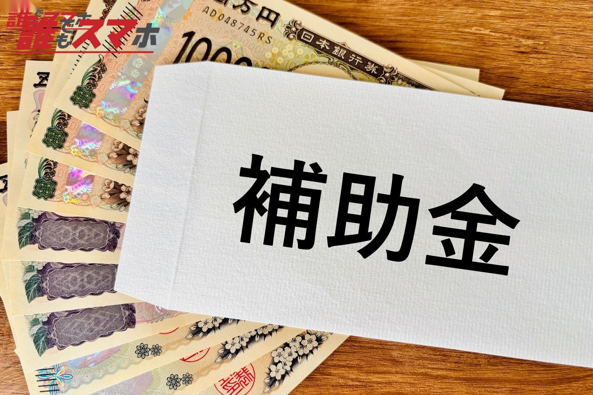 <h3>公的融資制度を利用する</h3>