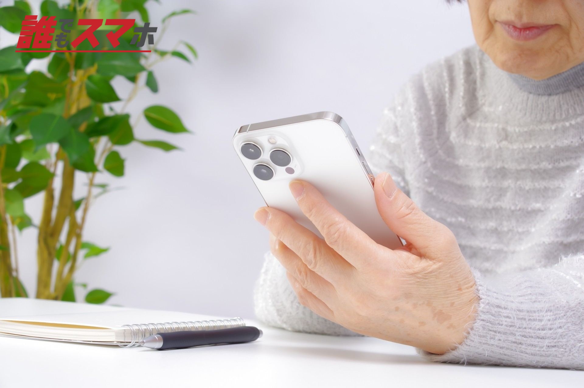 スマホ鑑賞