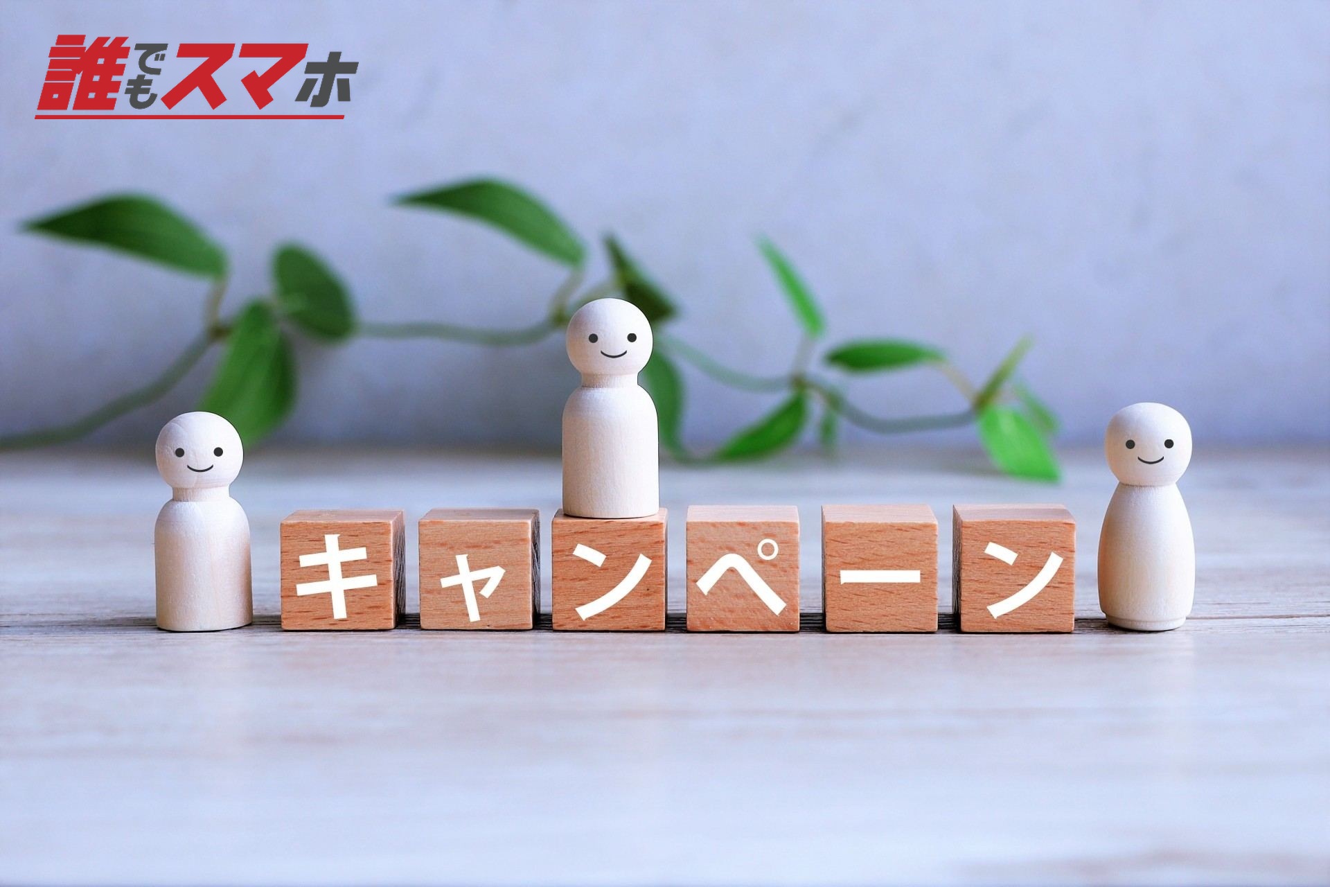 キャンペーン
