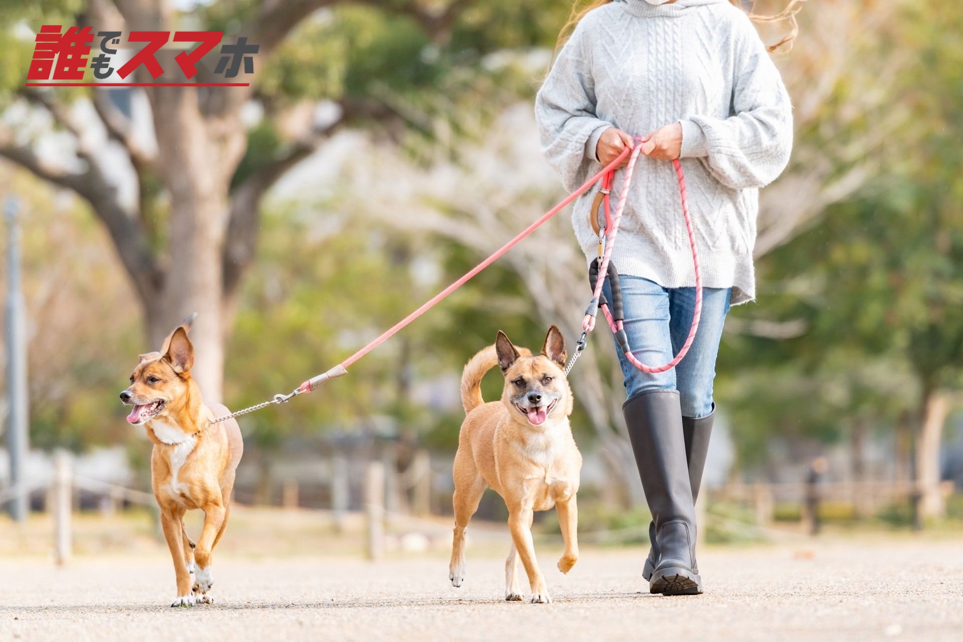 多頭飼育は家計や飼育管理の面から慎重に判断する