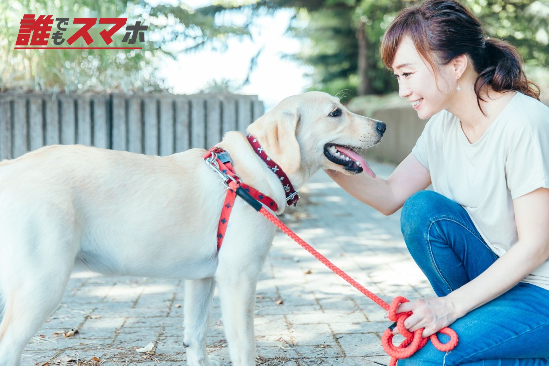 生活保護を受けるとペットの犬はどうなる?