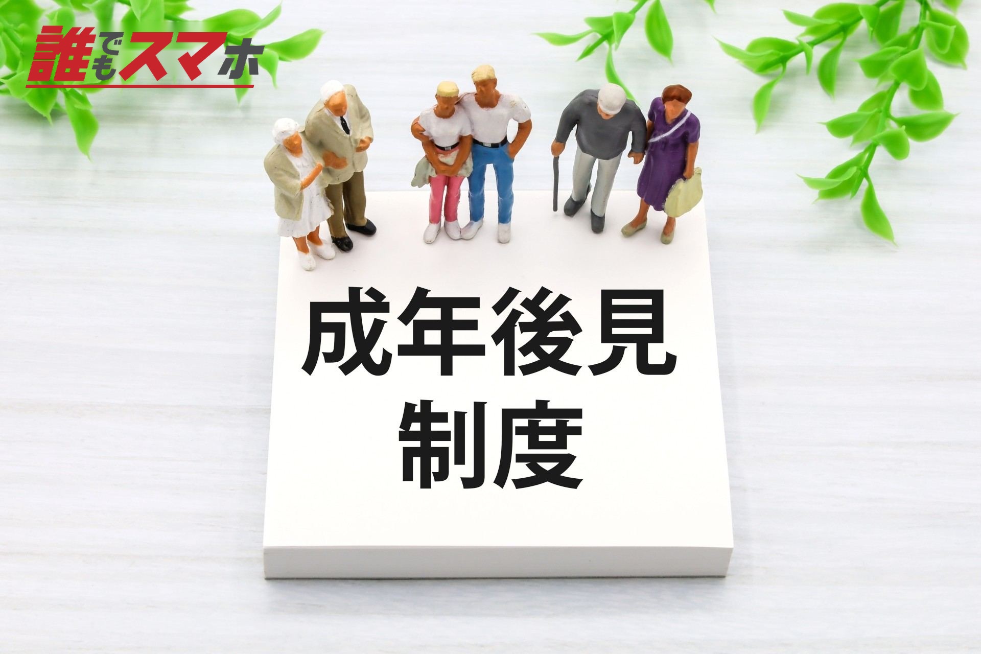 成年後見制度