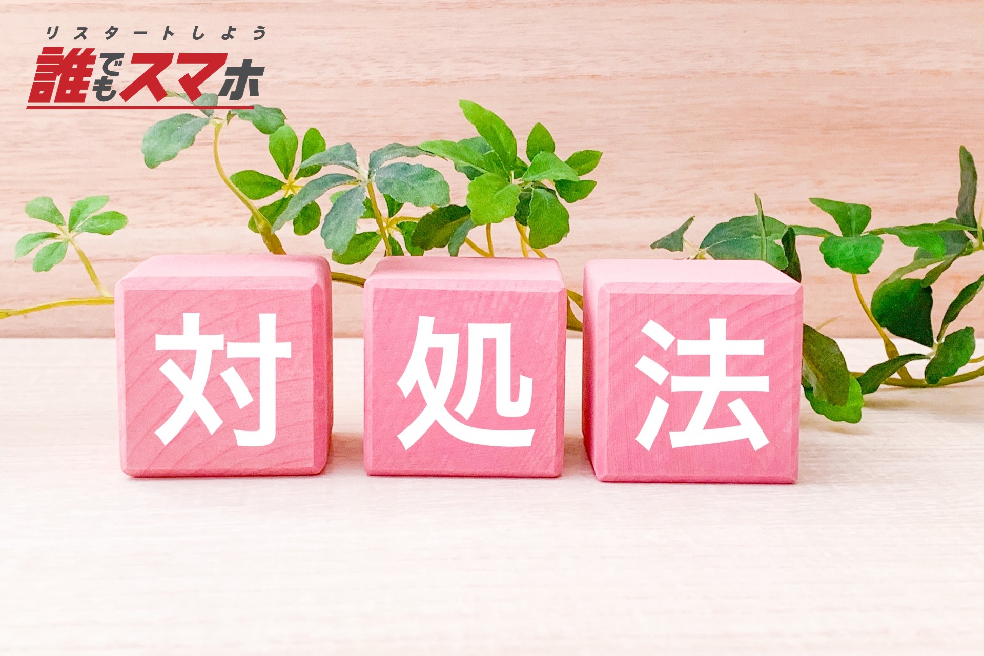 記事画像