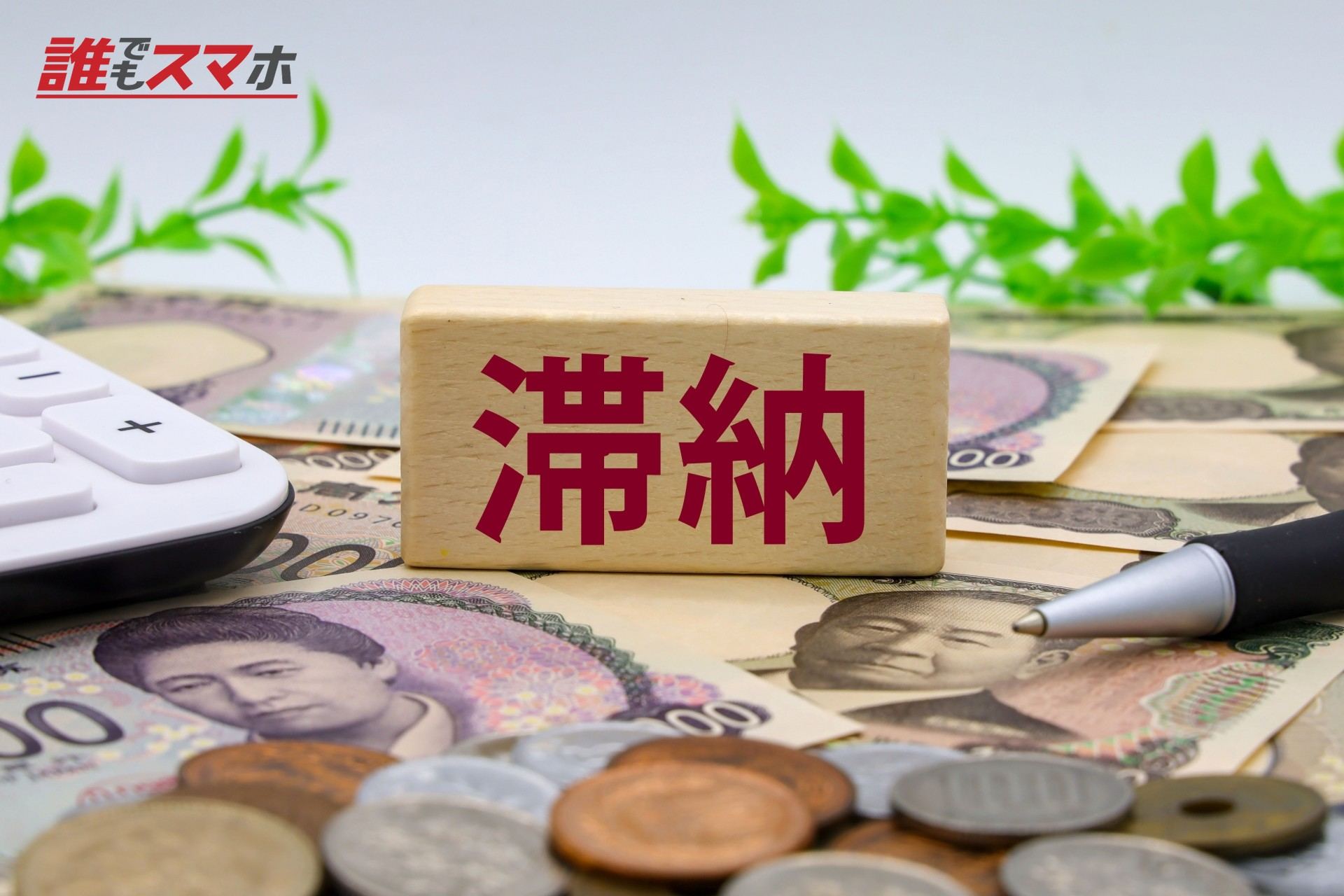 記事画像