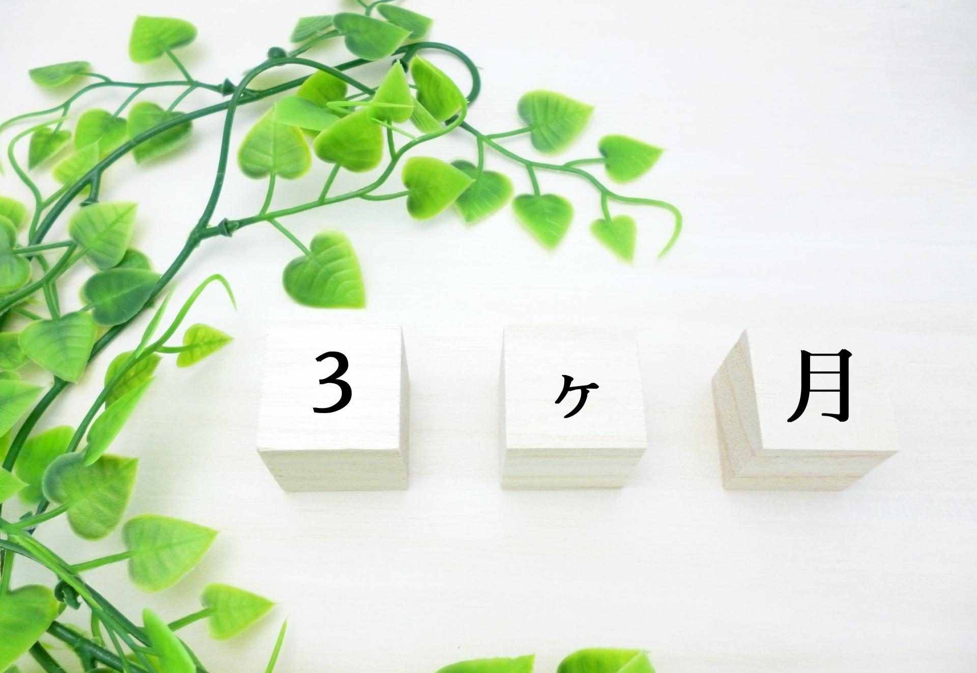 記事画像