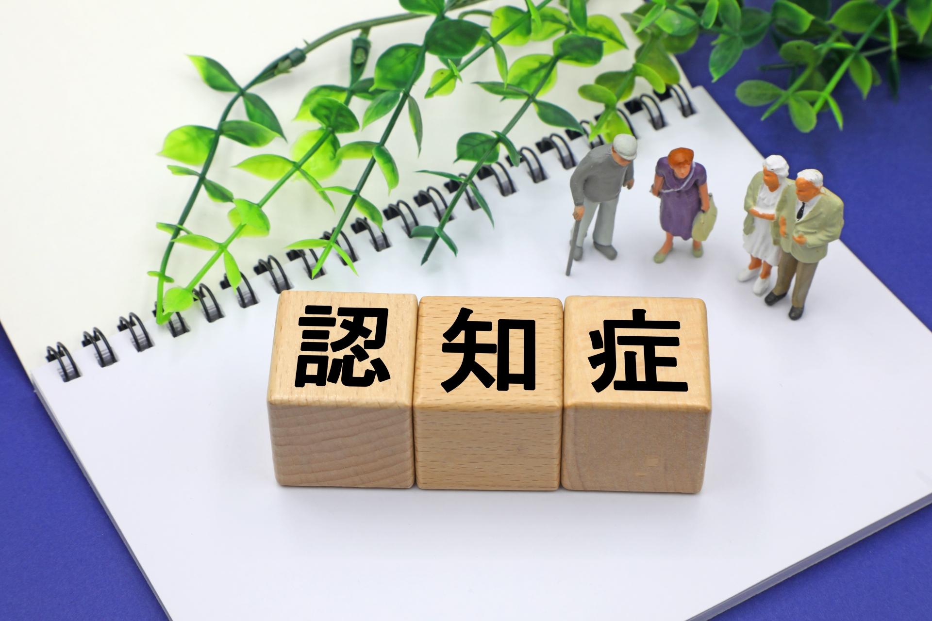 記事画像