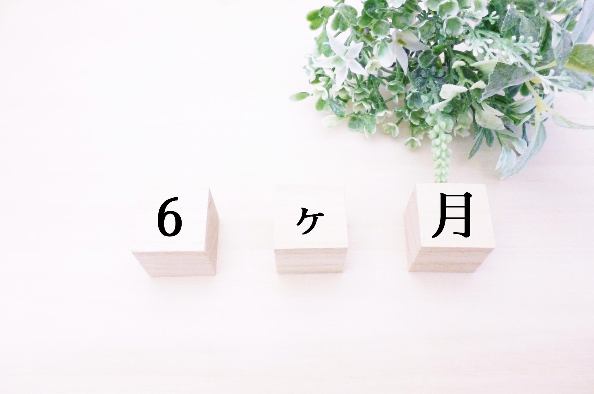 記事画像