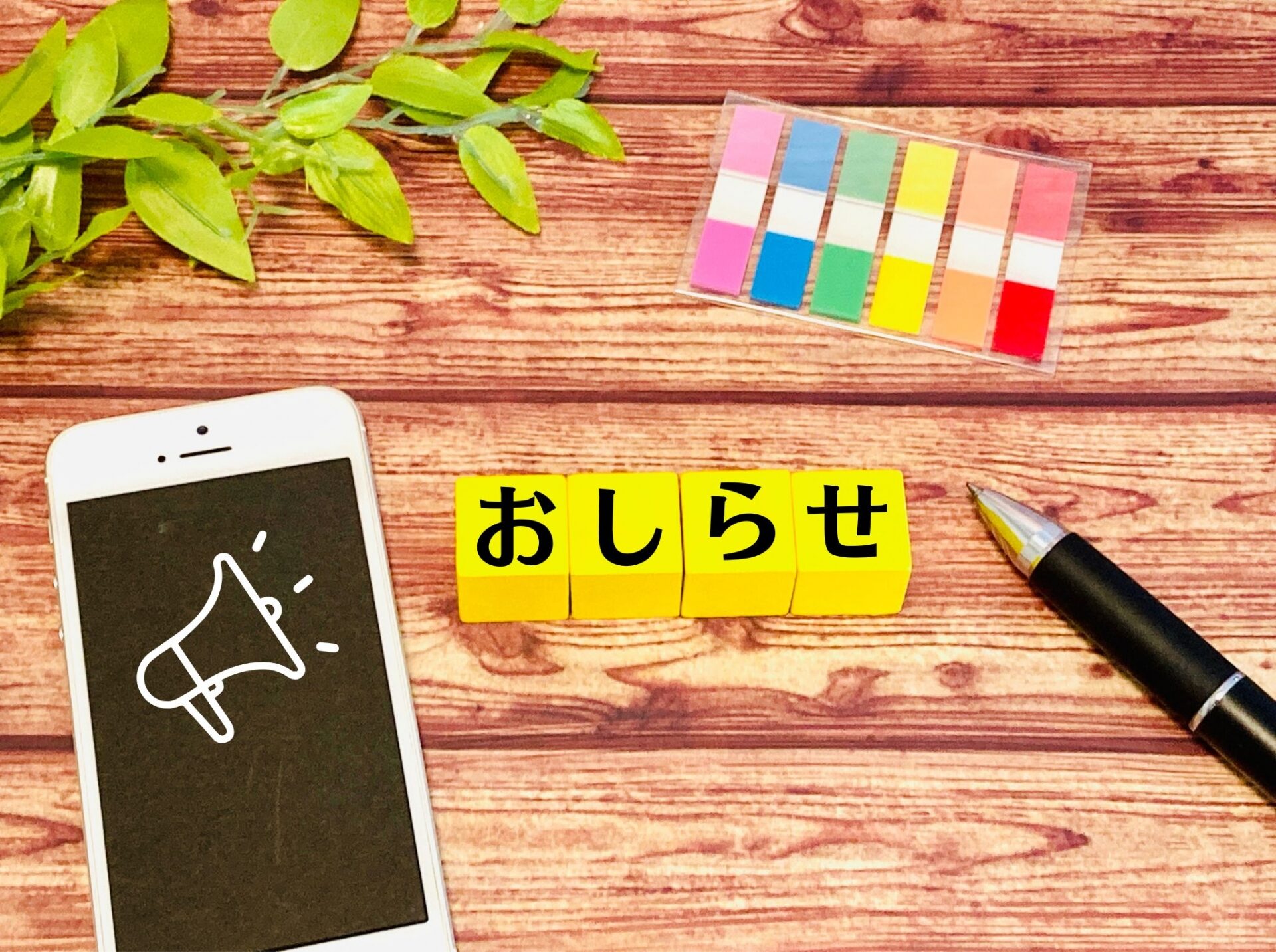 記事画像